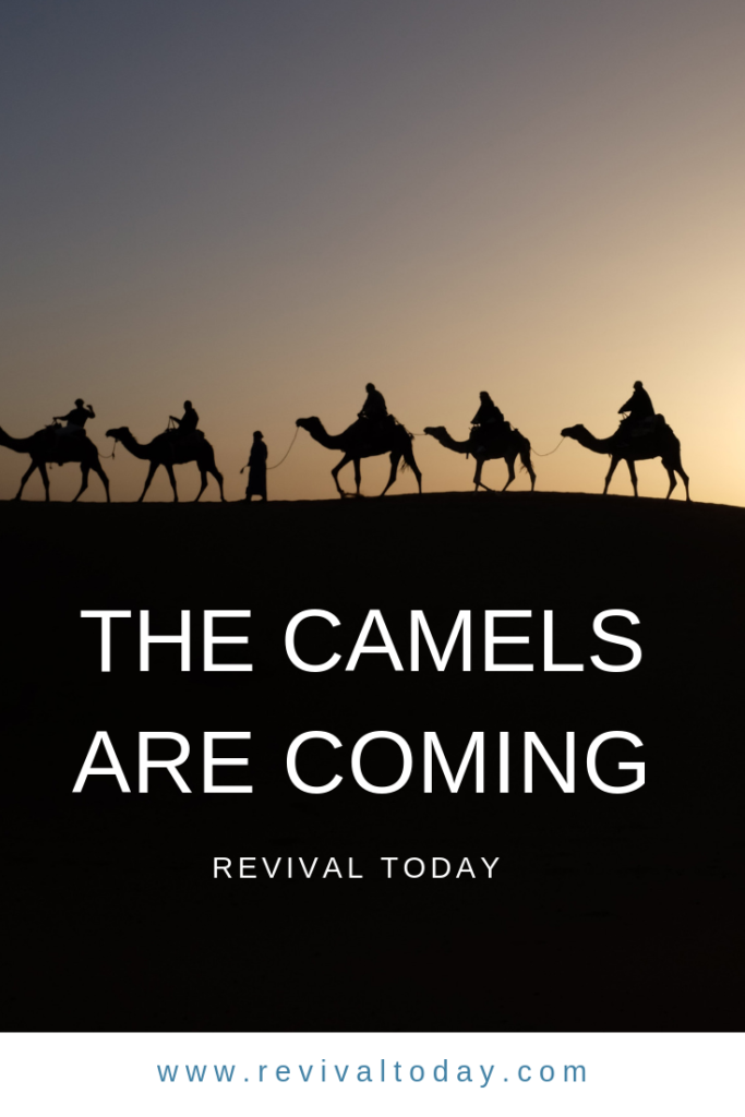 The Camels are Coming Sermon by Ev. Jonathan Shuttlesworth